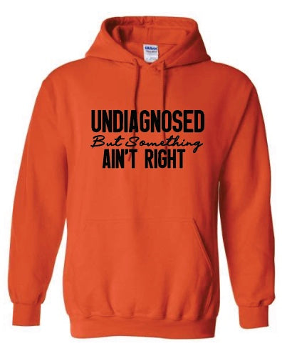 😵💫 Undiagnosed But Something Ain’t Right Hoodie
